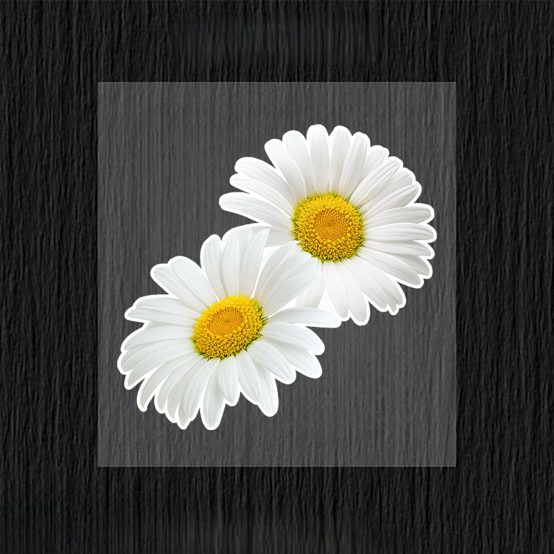 Yellow Laptop Accessories - 1pc Fashion Daisy Car Stickers, White